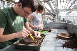 KOLPING zählt weiterhin zu Deutschlands besten Arbeitgeber*innen